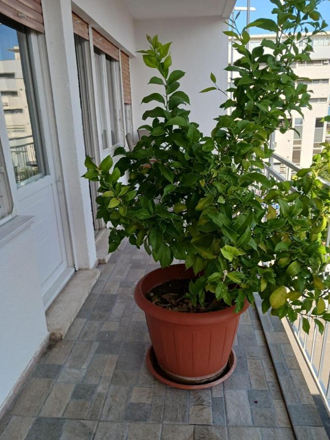 Room With Private Toilet And Balcony In City Center In Shared Apartment Split Exterior photo